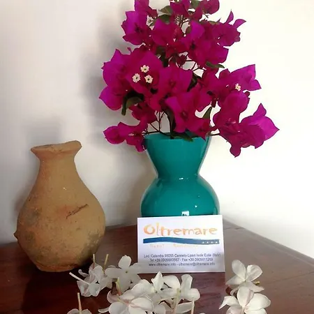 Aparthotel Oltremare 4*